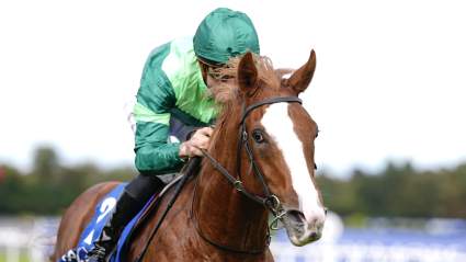Epsom Derby Runners 2026 Latest Odds, Contenders & Longshots