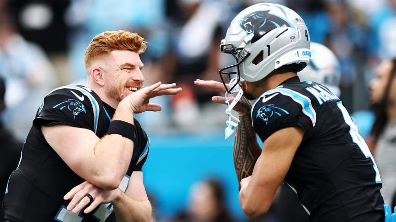 Andy Dalton, Panthers