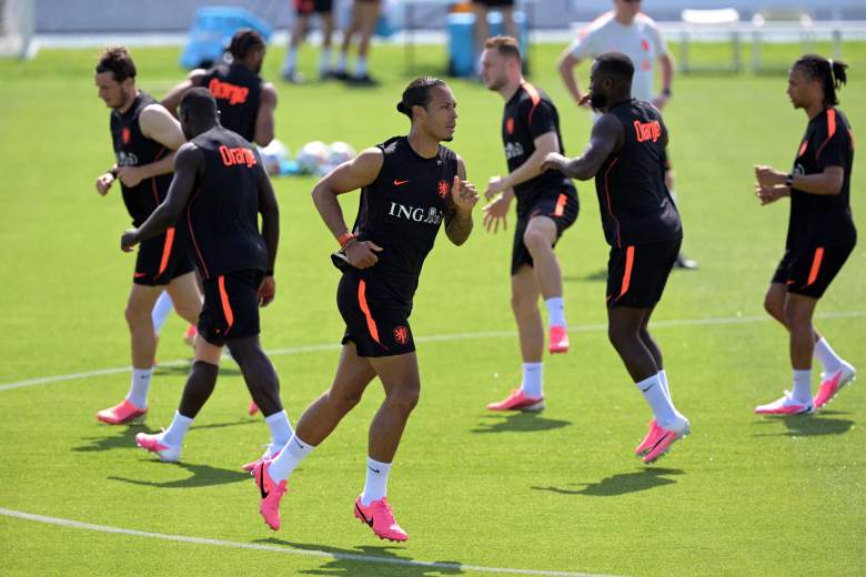 Netherlands World Cup