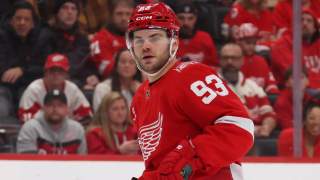 Red Wings Could Lock Up Vet for Rest of Career, Rumor