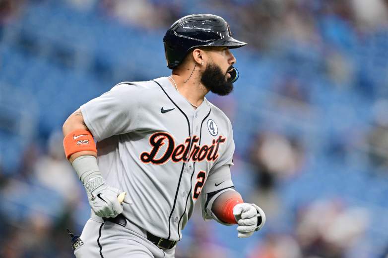 Detroit Tigers v Tampa Bay Rays