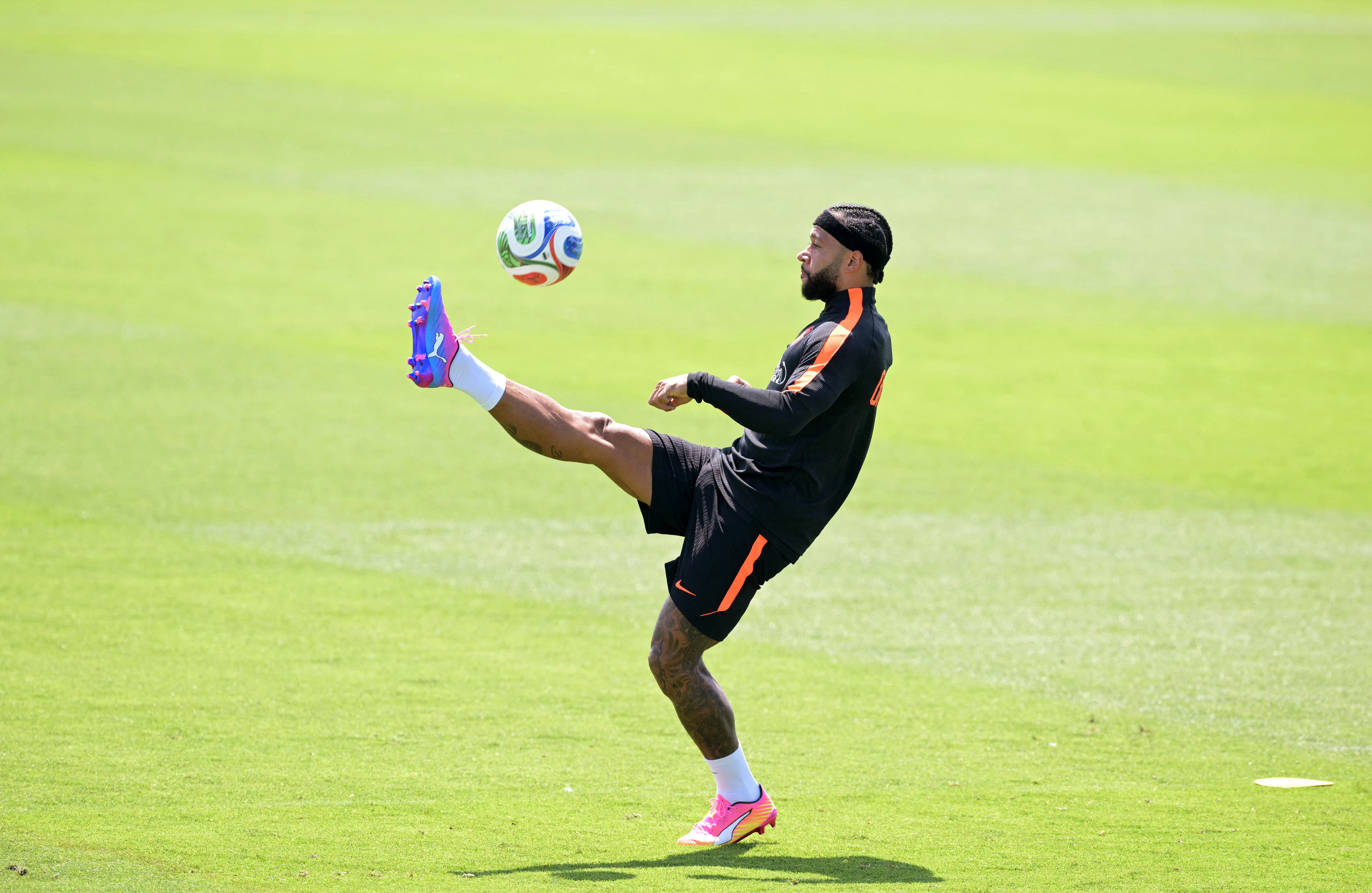 Who Could Miss Netherlands vs Japan? Latest Injury News and Fitness Updates