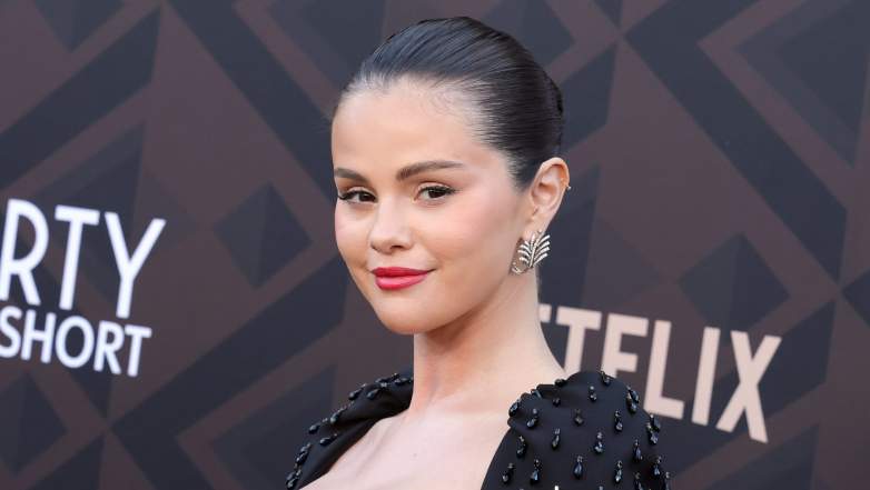 Los Angeles Premiere Of Netflix's "Marty, Life Is Short"