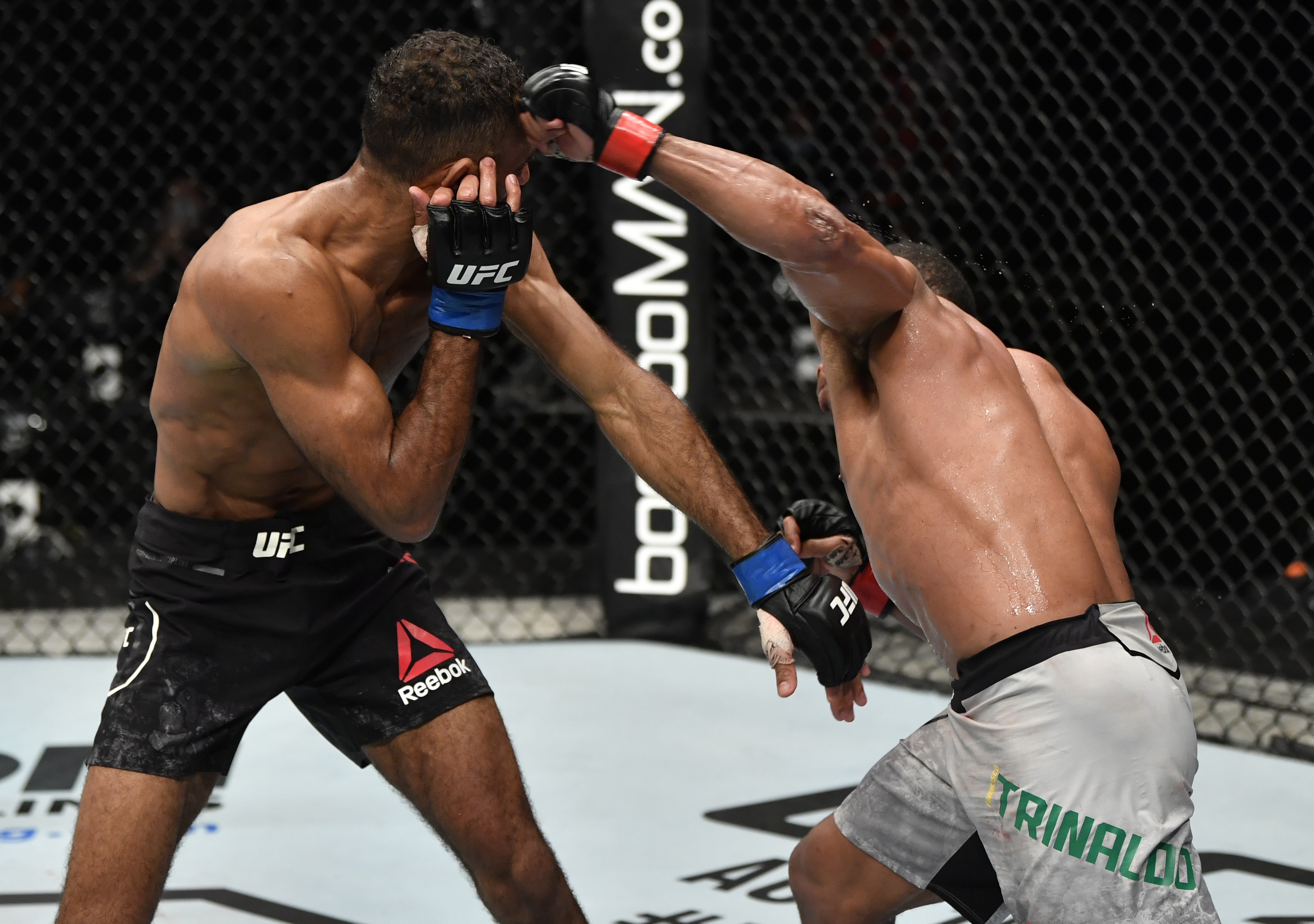 UFC Fight Night: Trinaldo v Herbert