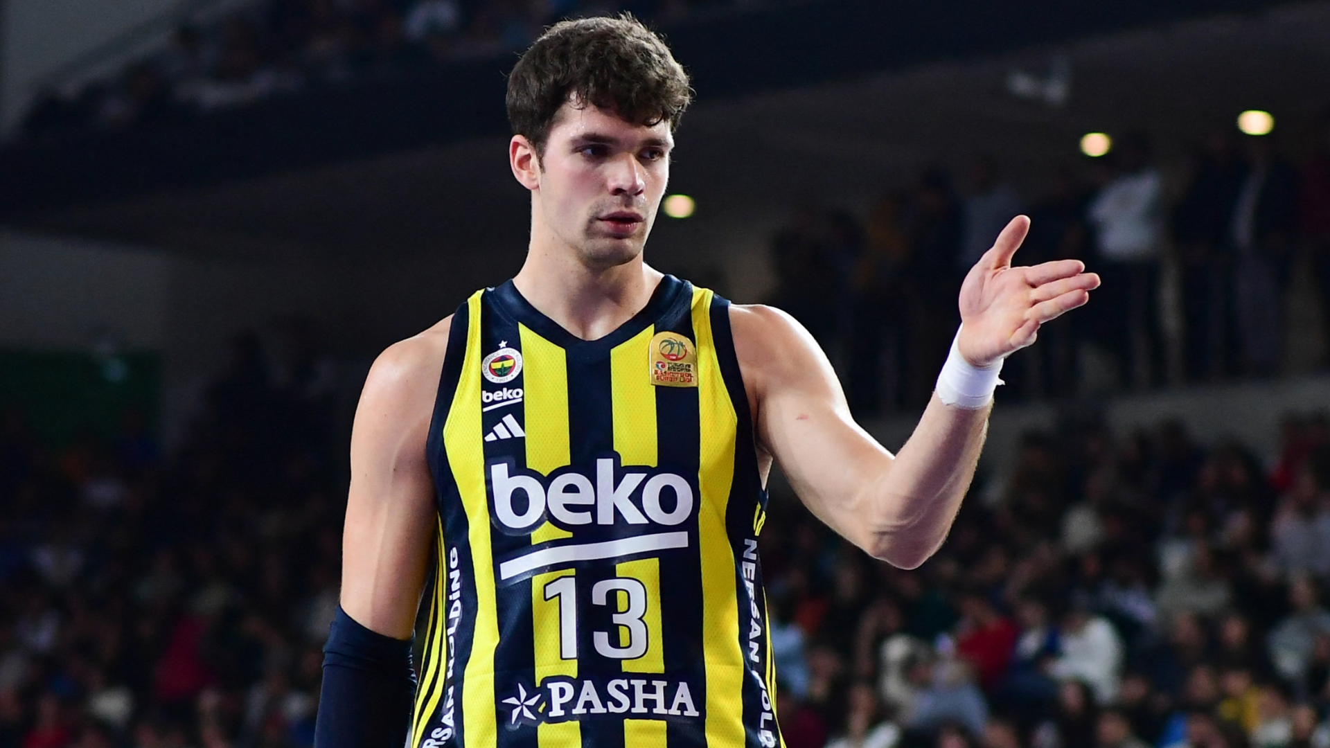 Tarik Biberovic