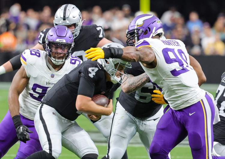 Minnesota Vikings linebackers