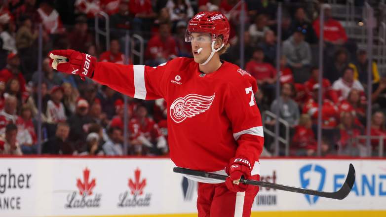 Simon Edvinsson is projected to earn a $70 million contract with the Detroit Red Wings.