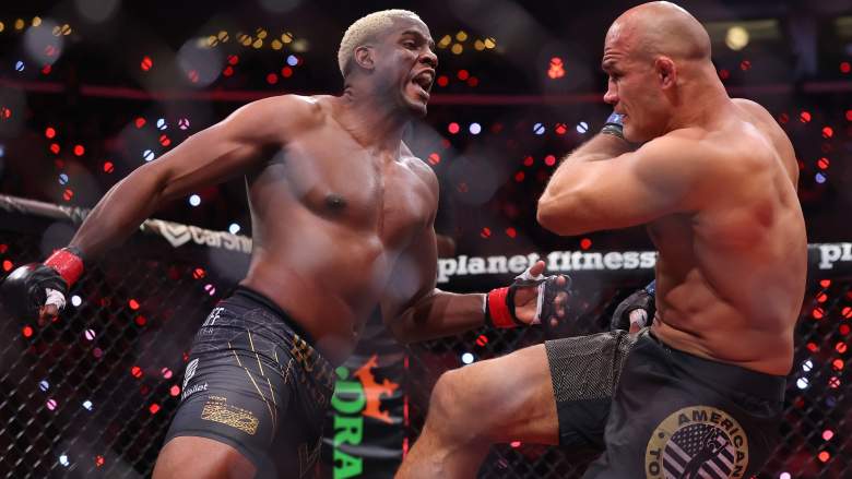 Robelis Despaigne UFC