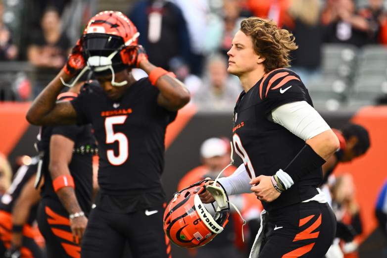 Arizona Cardinals v Cincinnati Bengals - NFL 2025