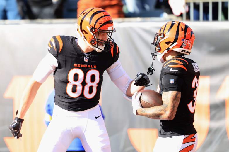 Cleveland Browns v Cincinnati Bengals - NFL 2025