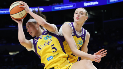Los Angeles Sparks’ Future Revealed After Lakers $12.5 Billion Sale