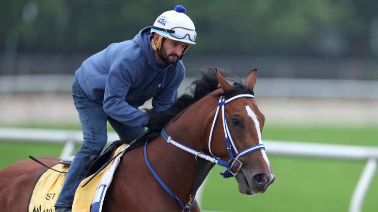 Exercise rider Robby Albarado takes Kentucky Derby winner Mystik Dan over the track during a training session ahead of the 149th running of the Preakness Stakes at Pimlico Race Course on May 15, 2024 in Baltimore, Maryland