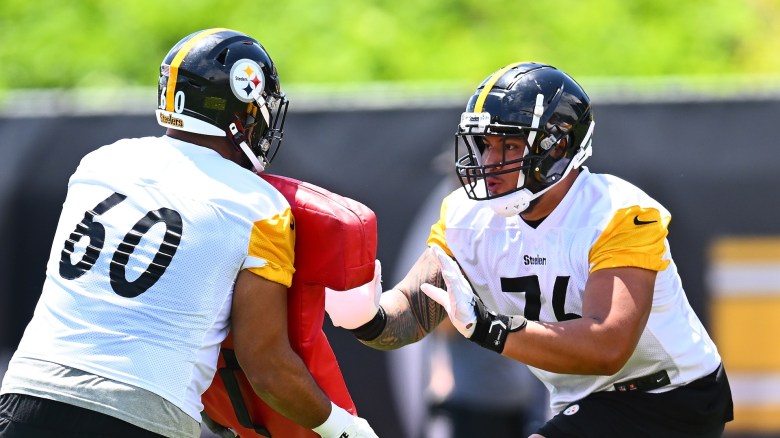 heavy.com - Parker Hurley - Packers Named Trade Fit for Versatile Steelers Lineman