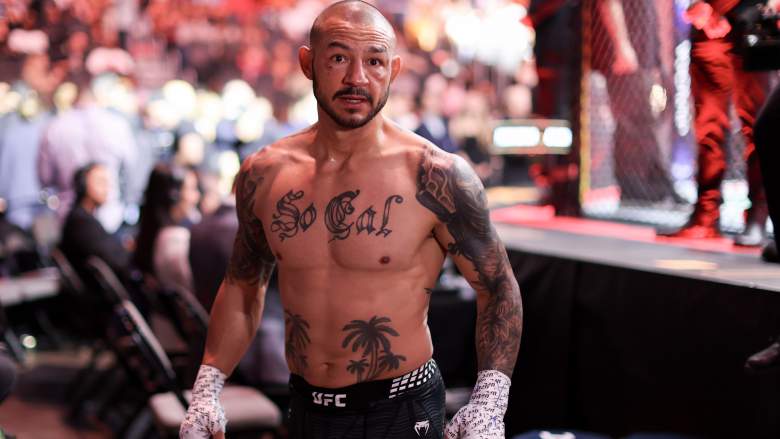Cub Swanson