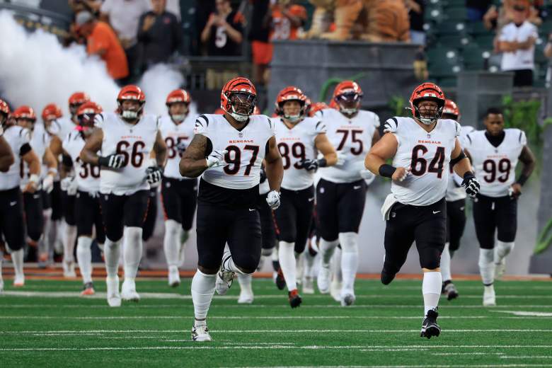 Bengals