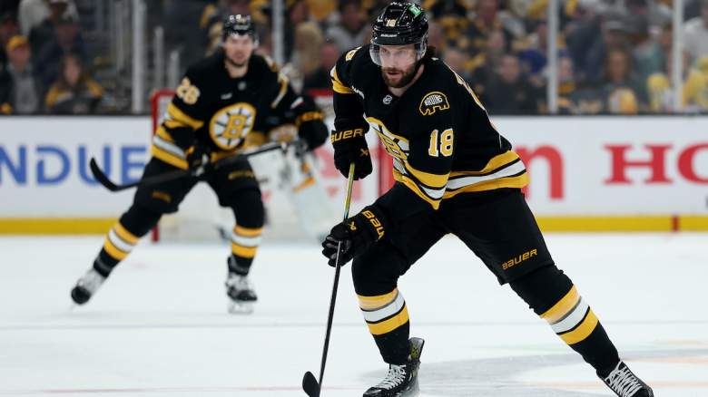 Pavel Zacha #18 of the Boston Bruins skates