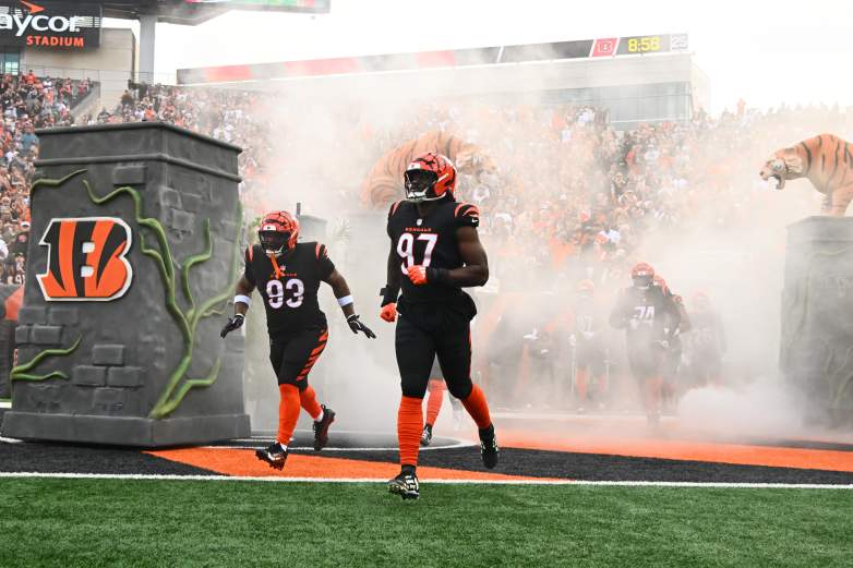 Arizona Cardinals v Cincinnati Bengals - NFL 2025