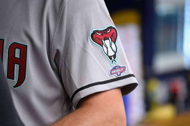 Arizona Diamondbacks v St. Louis Cardinals