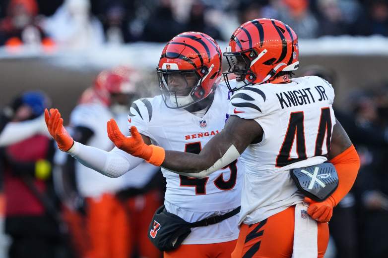 Baltimore Ravens v Cincinnati Bengals - NFL 2025
