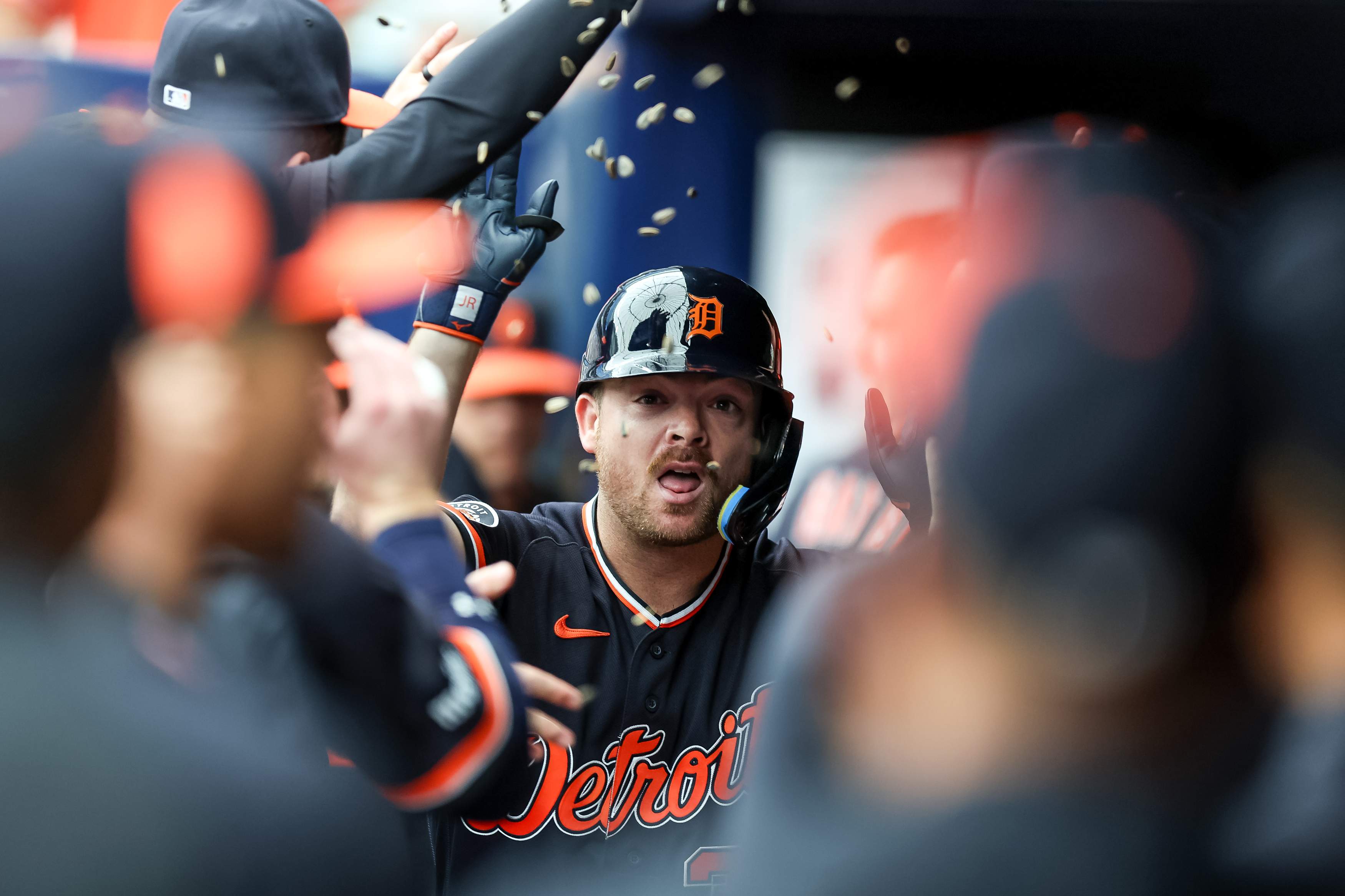 Detroit Tigers v Tampa Bay Rays