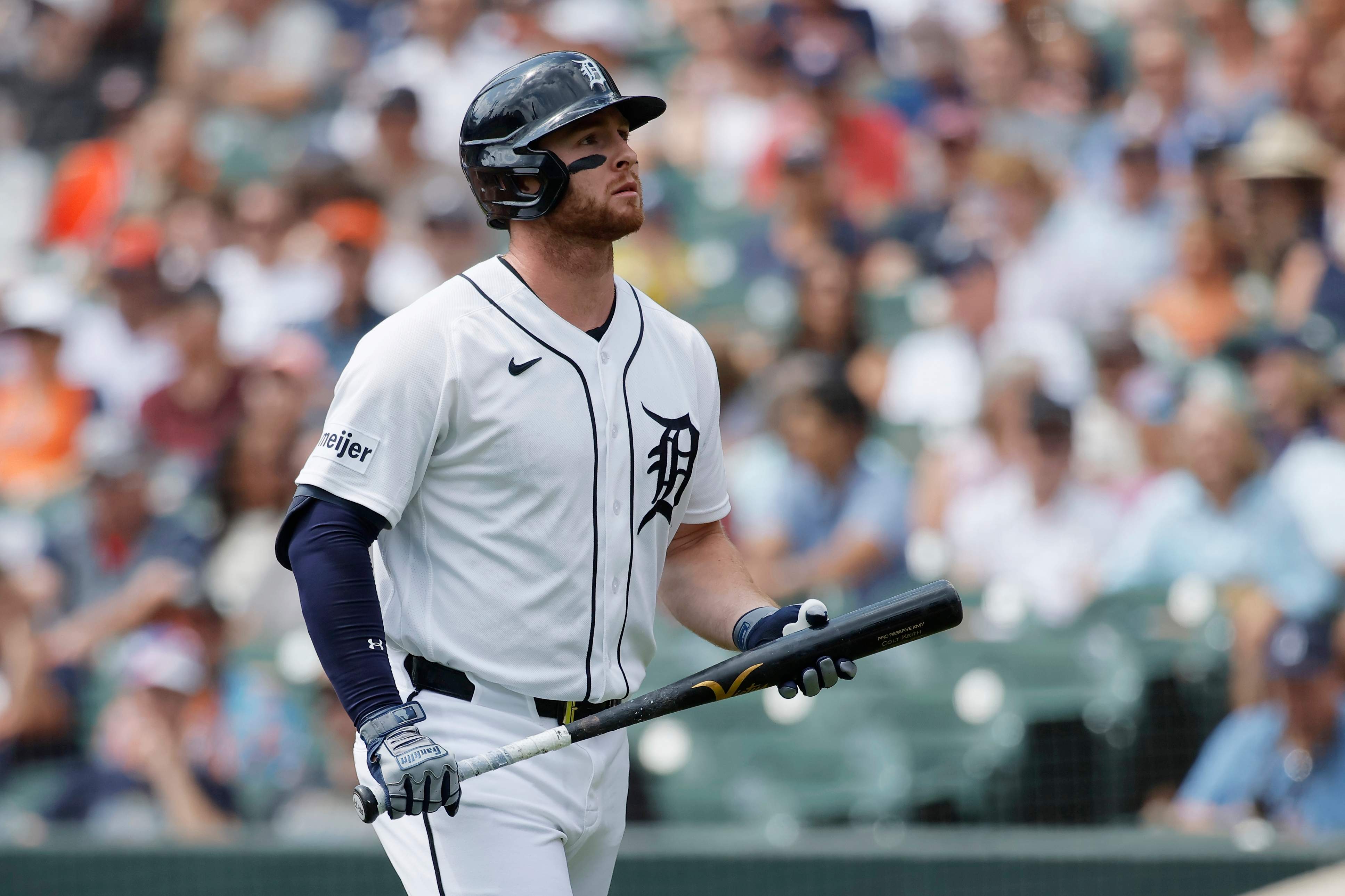 Tampa Bay Rays v Detroit Tigers