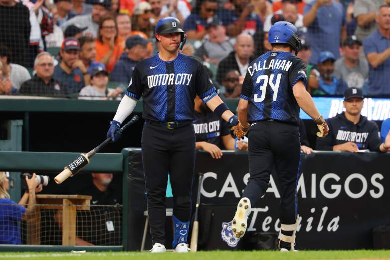 Tampa Bay Rays v Detroit Tigers