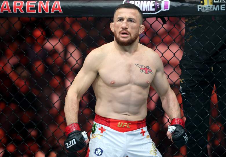 UFC 320: Ankalaev v Pereira 2