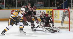 Navrin Mutter #15 of the Hamilton Bulldogs tries to get a shot past Hunter Jones #29 of the Peterborough Petes in an OHL game at the Peterborough Memorial Centre on November 10, 2018 in Peterborough, Ontario, Canada