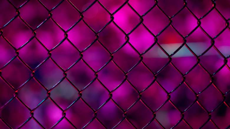 UFC Octagon