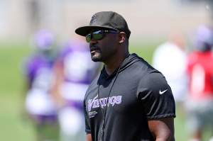 Minnesota Vikings Defense