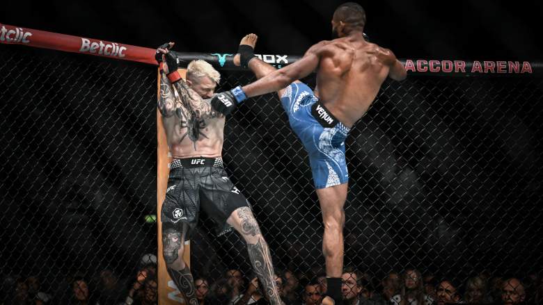Salahdine Parnasse UFC