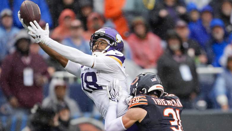 Bears Safety Dillon Thieneman