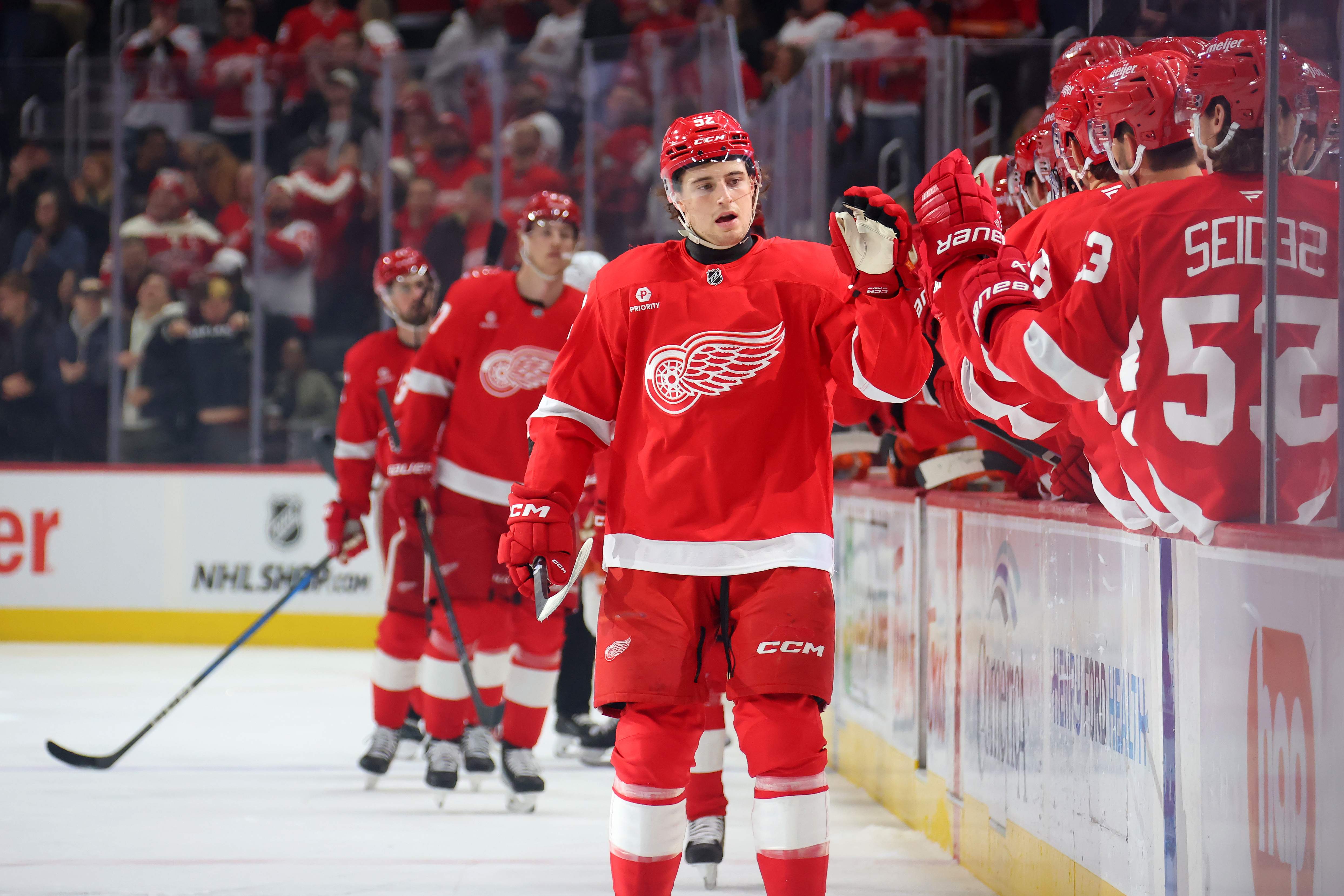 Anaheim Ducks v Detroit Red Wings
