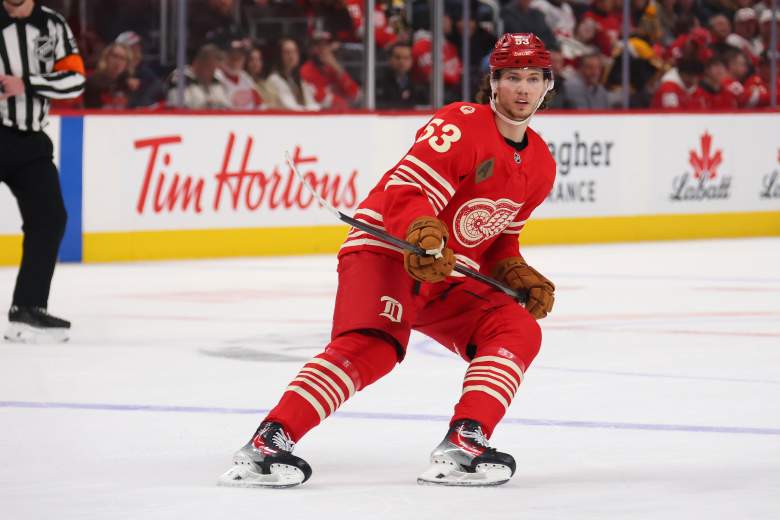 Boston Bruins v Detroit Red Wings