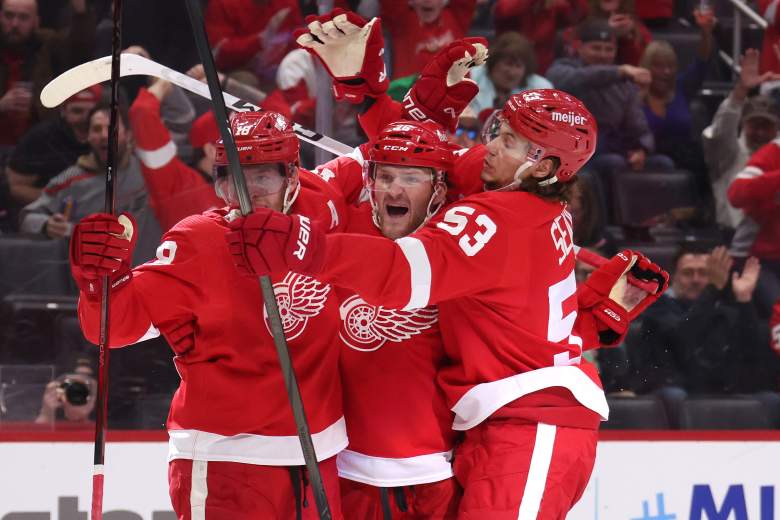 Buffalo Sabres v Detroit Red Wings