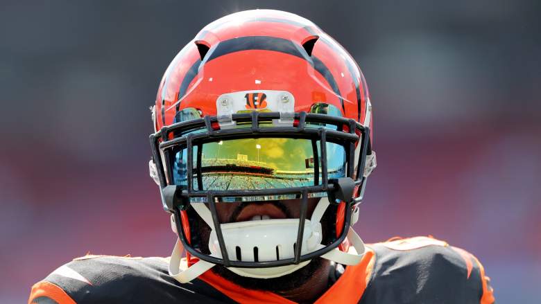 Cincinnati Bengals