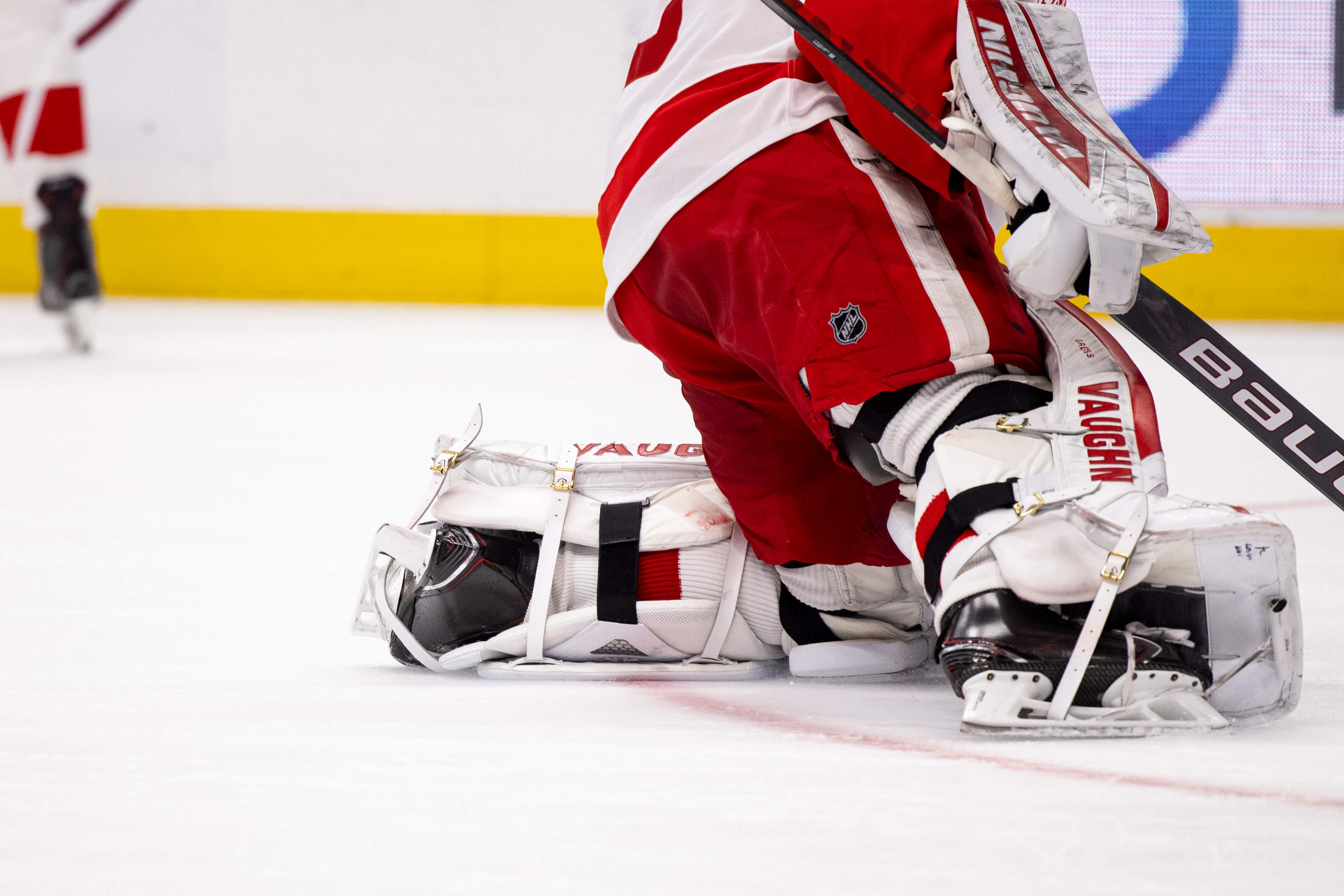 Detroit Red Wings v Nashville Predators