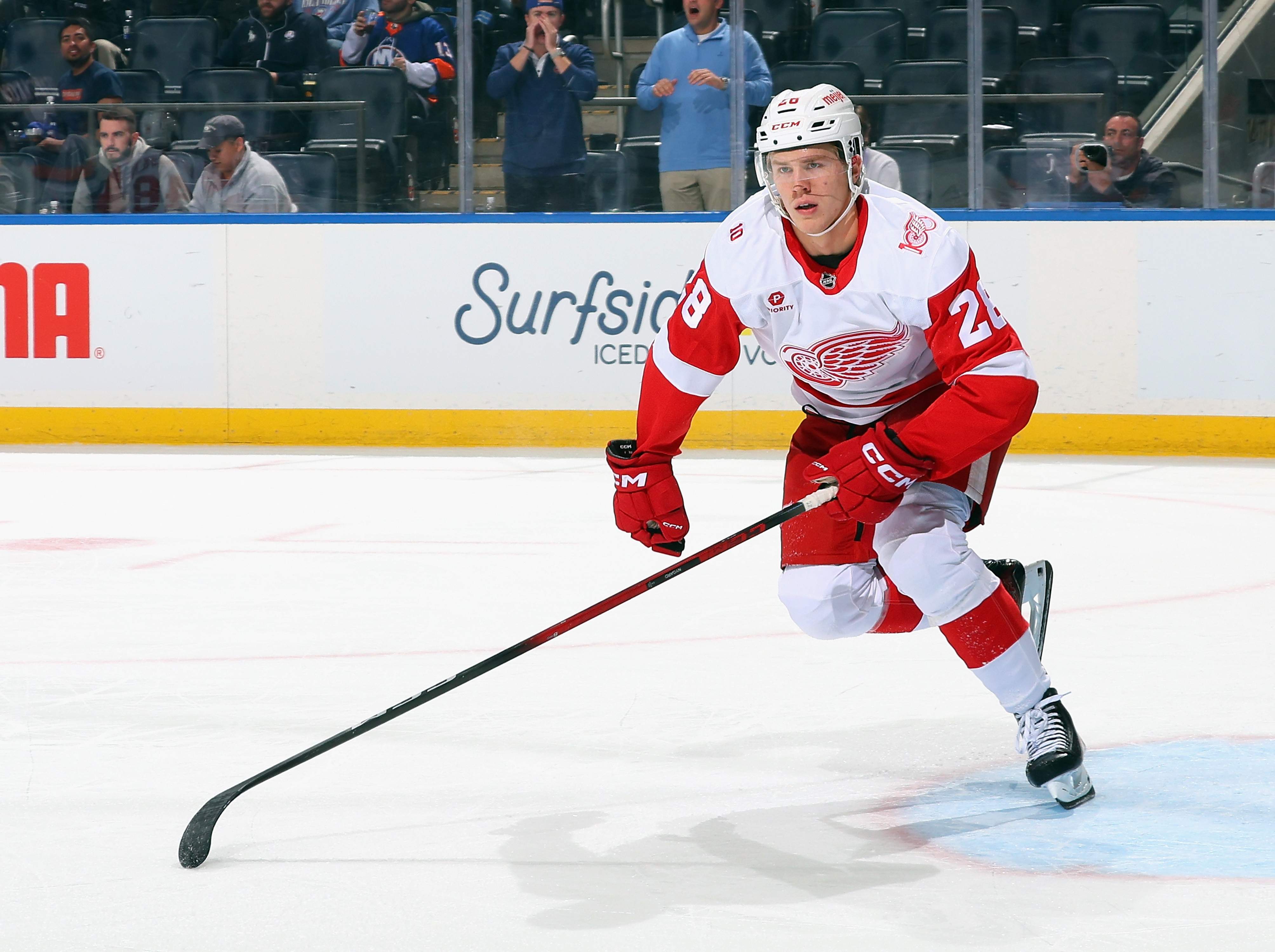 Detroit Red Wings v New York Islanders