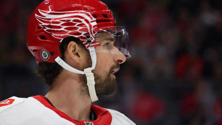 Dylan Larkin #71 of the Detroit Red Wings looks on i