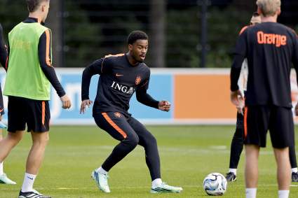 Serbia vs Netherlands Today: Live Score, Football and Tickets Updates