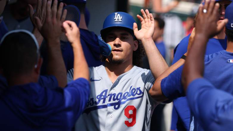 Los Angeles Dodgers v Detroit Tigers