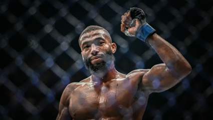Salahdine Parnasse Obliterates Dan Hooker in the First Round
