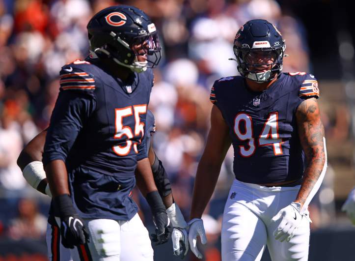Bears defense