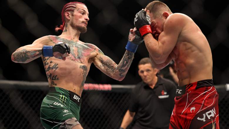 Sean O'Malley Petr Yan Merab Dvalishvili