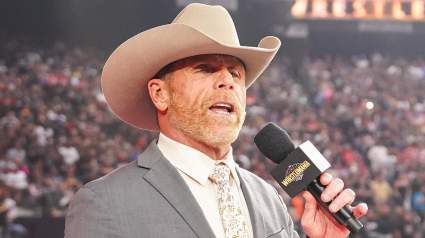 Shawn Michaels and AJ Styles Primed For Major WWE Promotions