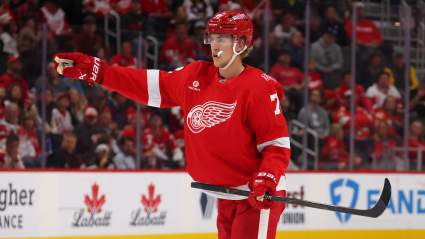 Red Wings Trade Pitch Swaps Edvinsson for Young Bruins Star