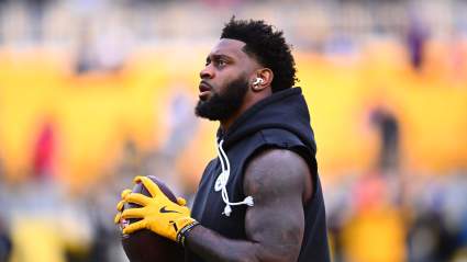Ex-Steelers LB Takes Shot at Patrick Queen During Browns Loss