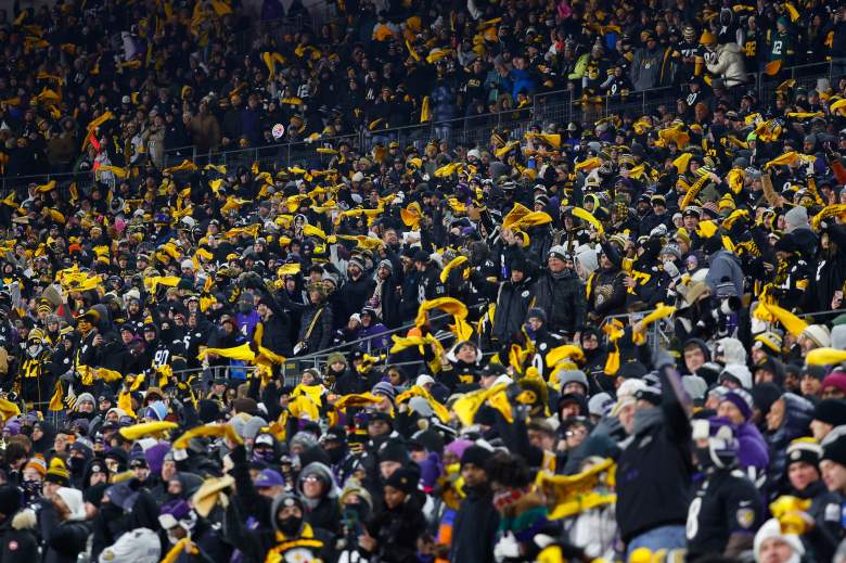 Pittsburgh Steelers fans
