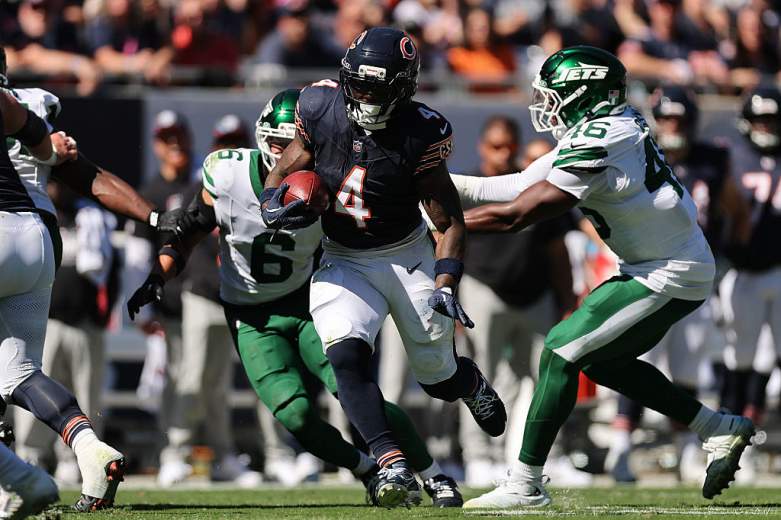 Chicago bears