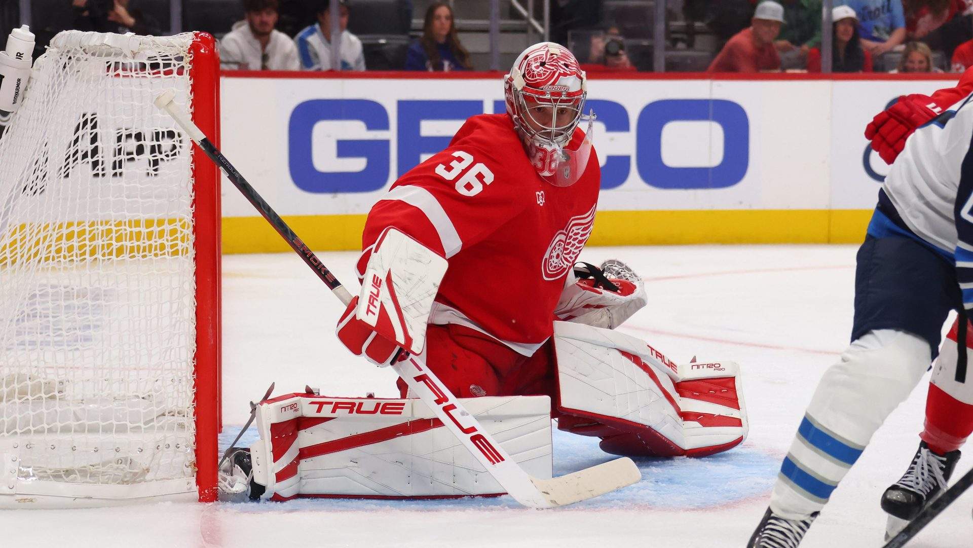 Detroit Red Wings